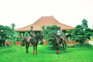 Taman Kuda Pringsewu image