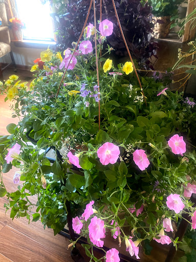 Florist «Frances Flower Shop», reviews and photos, 1222 W Capitol Ave, Little Rock, AR 72201, USA