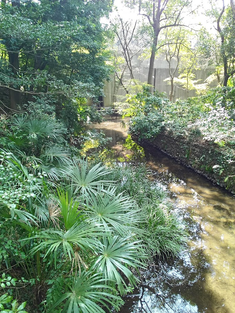 日立中央研究所 恋ヶ窪村分水