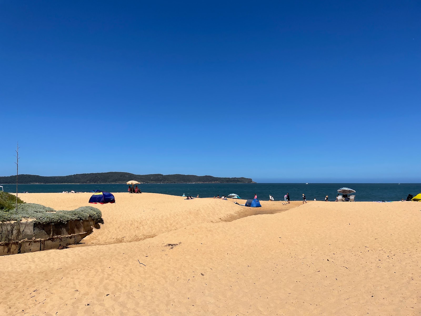 Φωτογραφία του Ocean Beach παροχές περιοχής