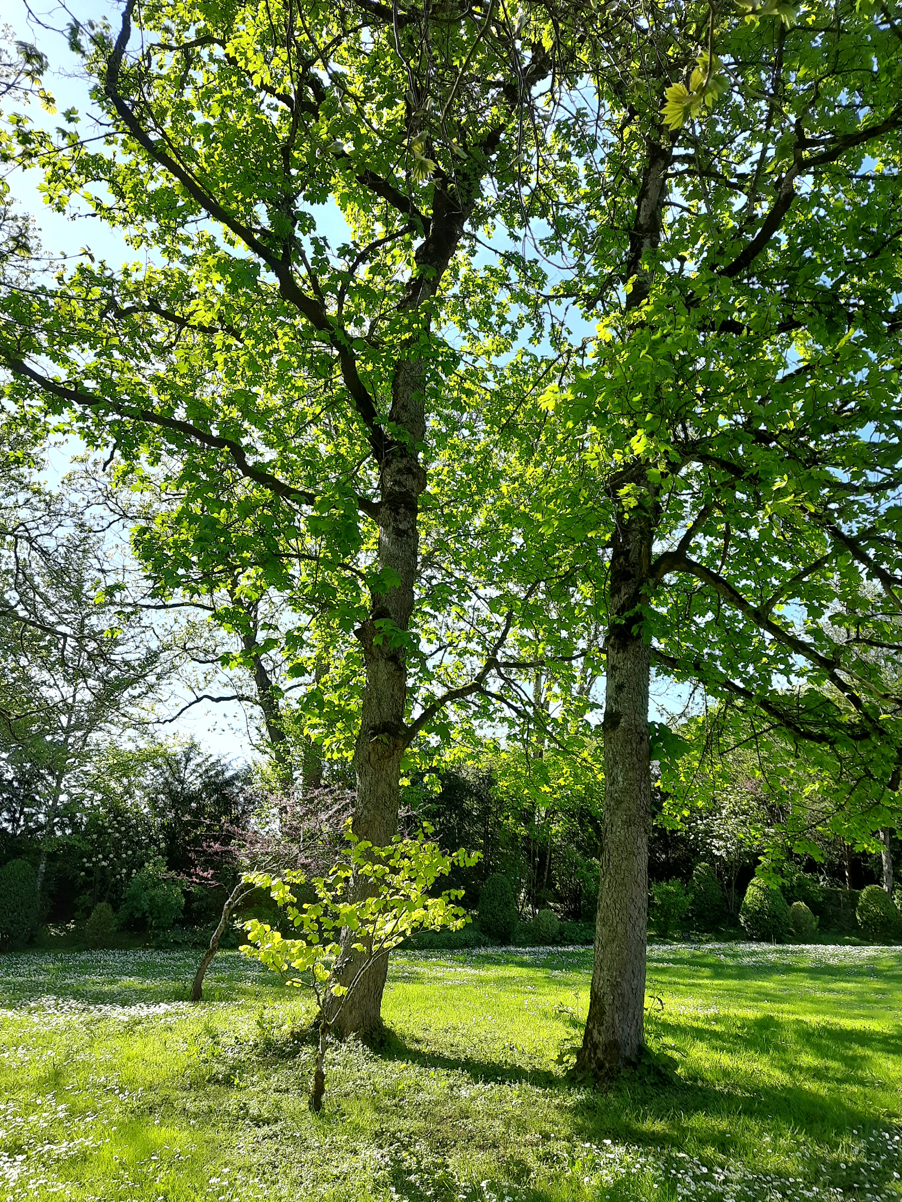 Photo n° 5 de l'avis de Ulrich.i fait le 11/05/2023 à 13:21