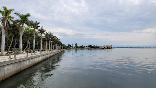 Art School «Ringling College of Art and Design», reviews and photos