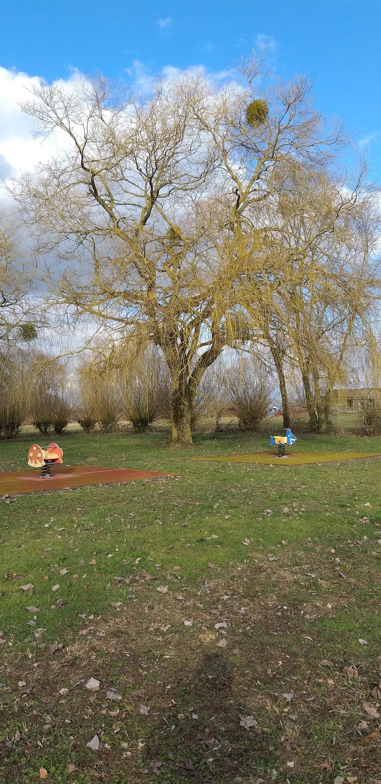 Photo n° 3 de l'avis de jessica.i fait le 06/03/2019 à 18:36