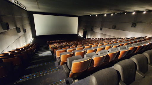 Cinémas de Lyon