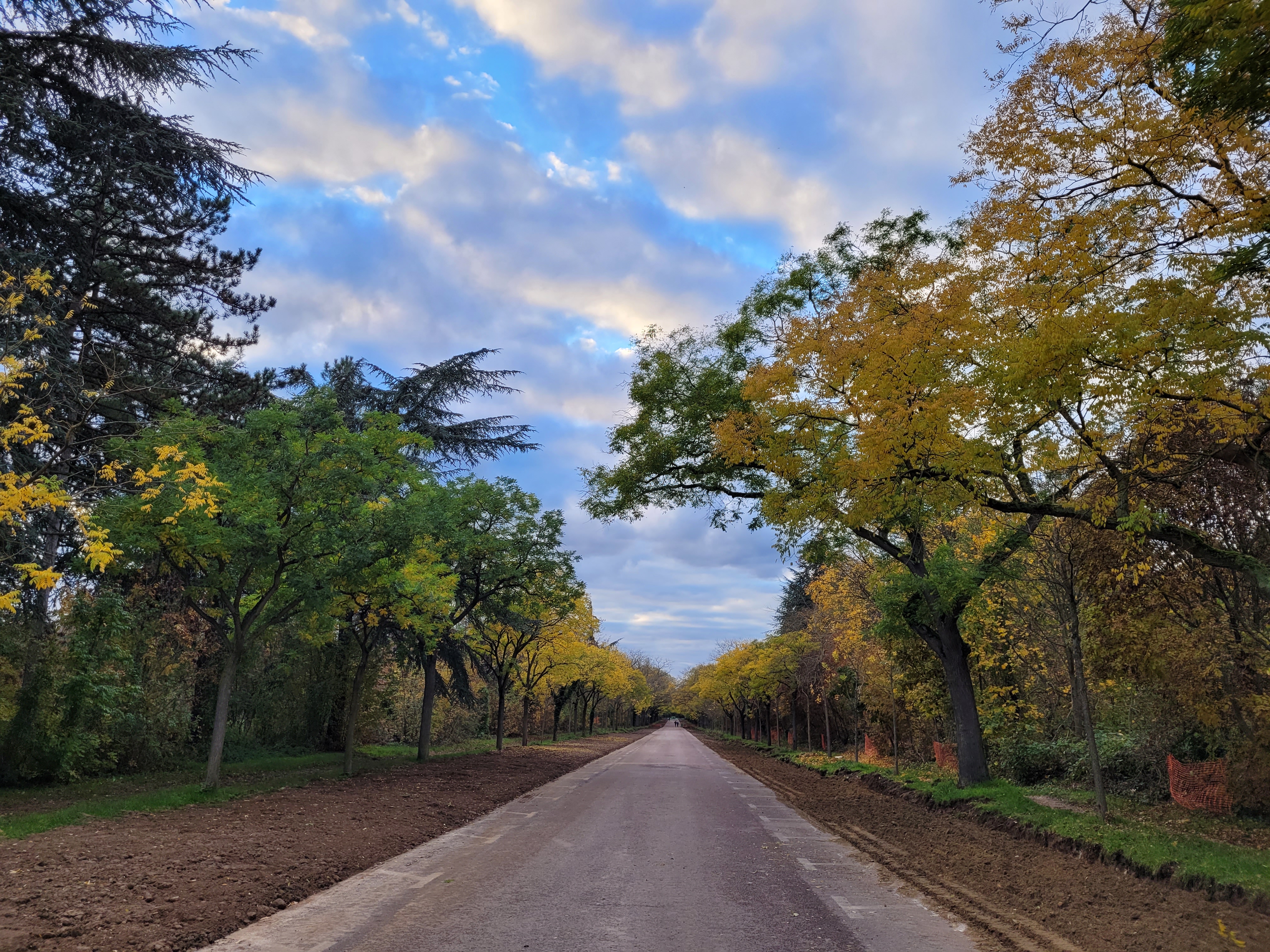 Photo n° 1 de l'avis de ernest.o fait le 17/08/2018 à 17:20
