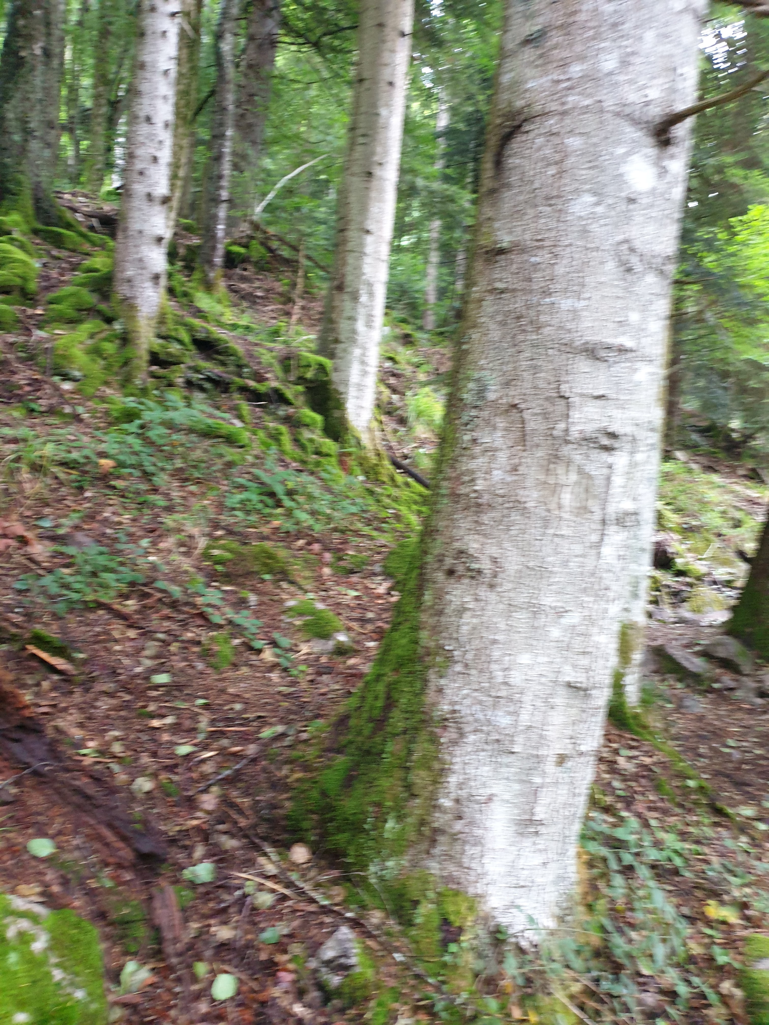 Photo n° 16 de l'avis de Christophe.r fait le 28/07/2019 à 18:55