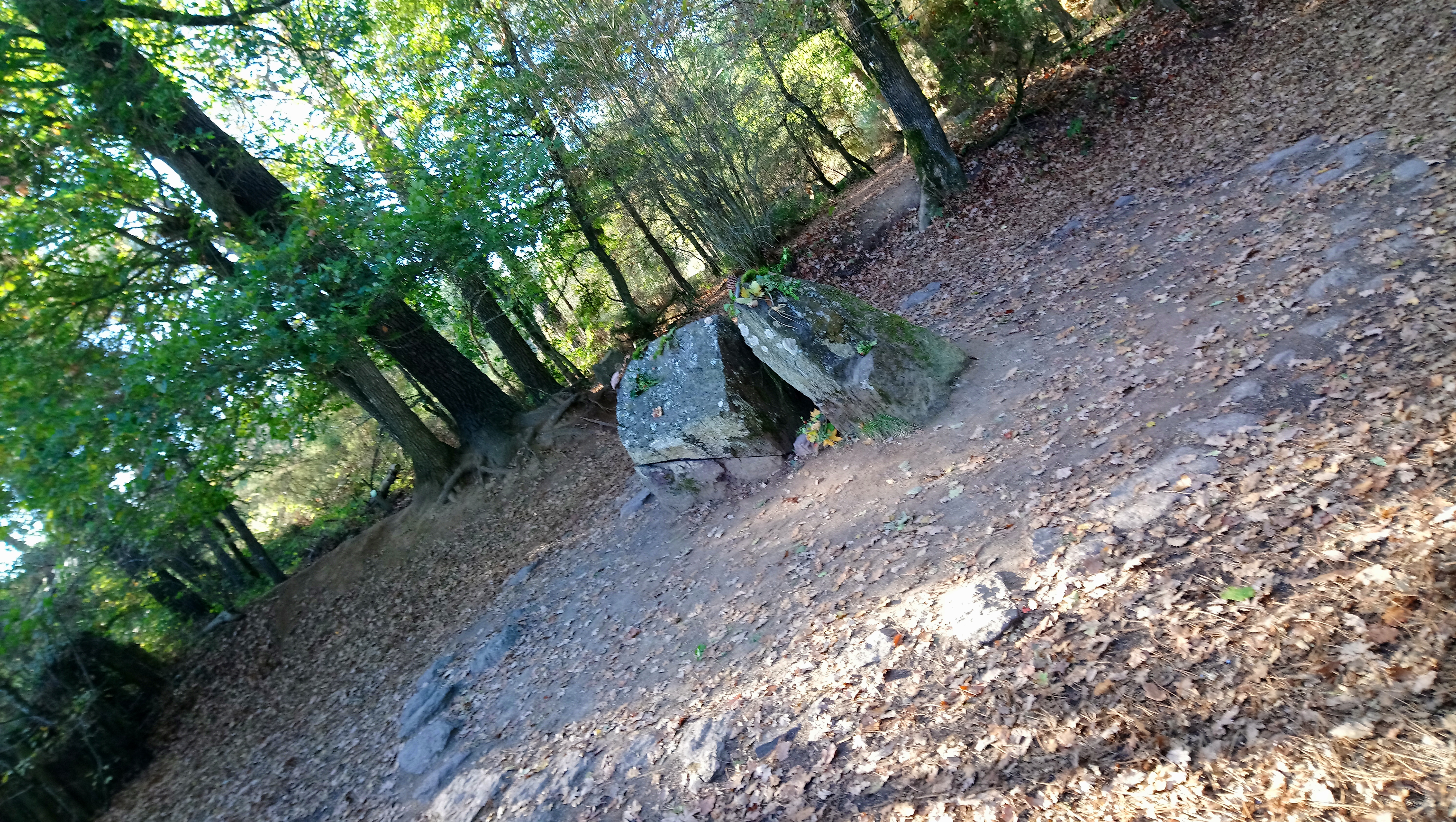 Photo n° 3 de l'avis de Catherine.a fait le 30/10/2018 à 20:30