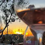 Photo n°2 de l'avis de Sara.e fait le 14/02/2023 à 09:44 sur le  Il Convivio di Nonno Ciro à Urbino