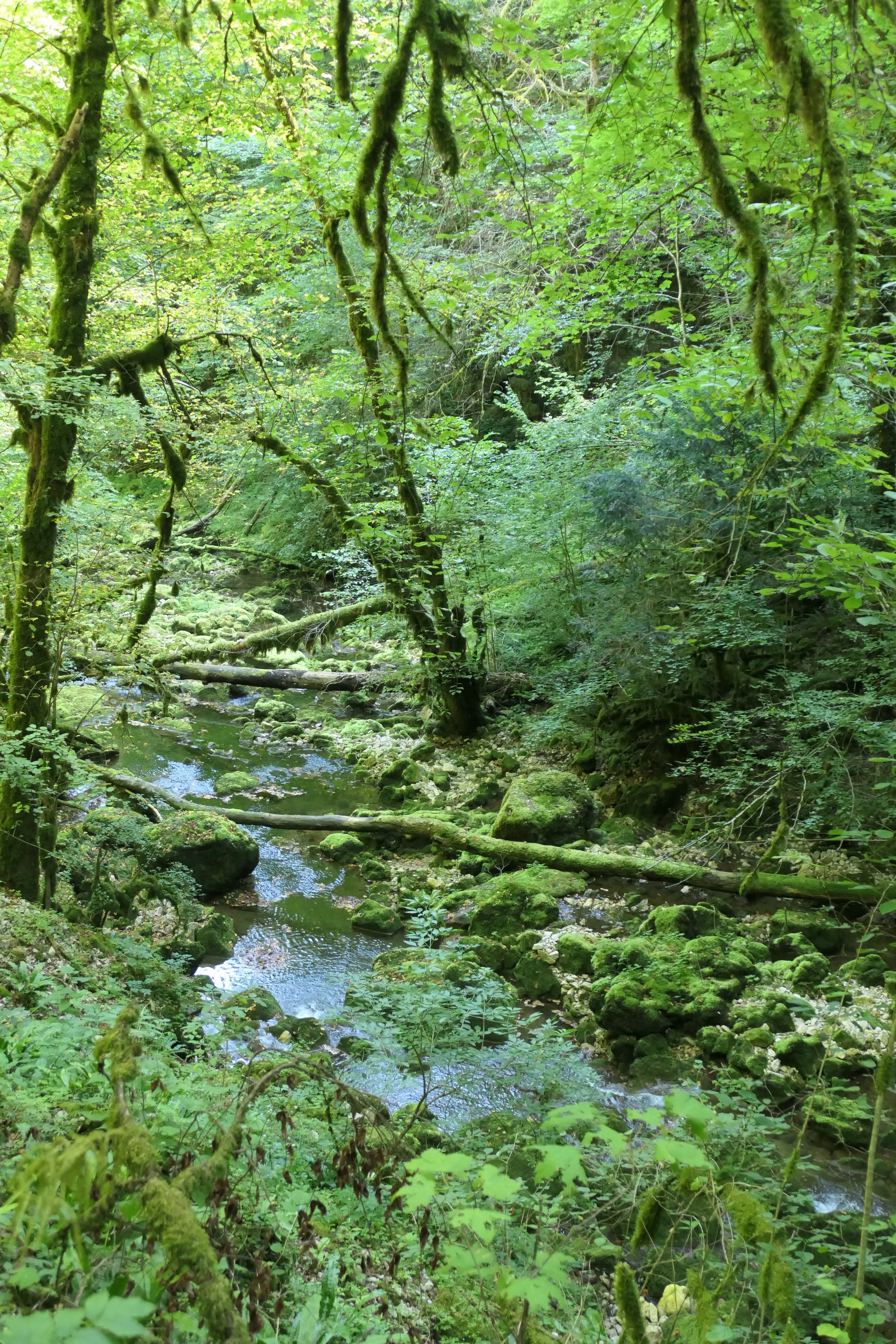 Photo n° 14 de l'avis de Hubert.o fait le 15/08/2023 à 16:36