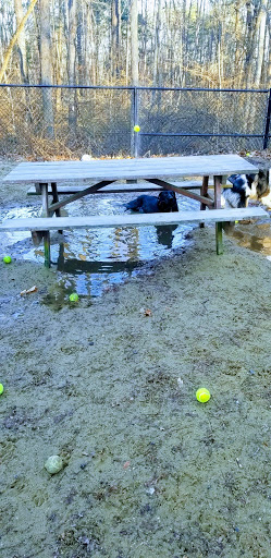 Dog Park «Andover dog park», reviews and photos, 288 High Plain Rd, Andover, MA 01810, USA