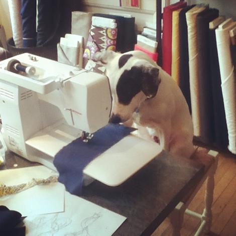 Fabric Store «Bolt & Spool», reviews and photos, 2026 Murray Hill Rd, Cleveland, OH 44106, USA