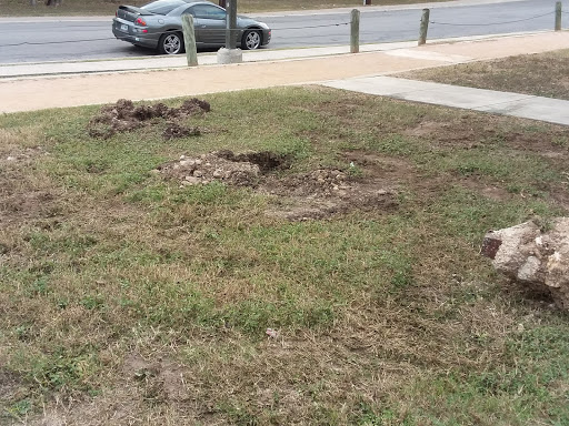 City Park «Joan Price Park», reviews and photos, 3803 Majestic Dr, San Antonio, TX 78228, USA