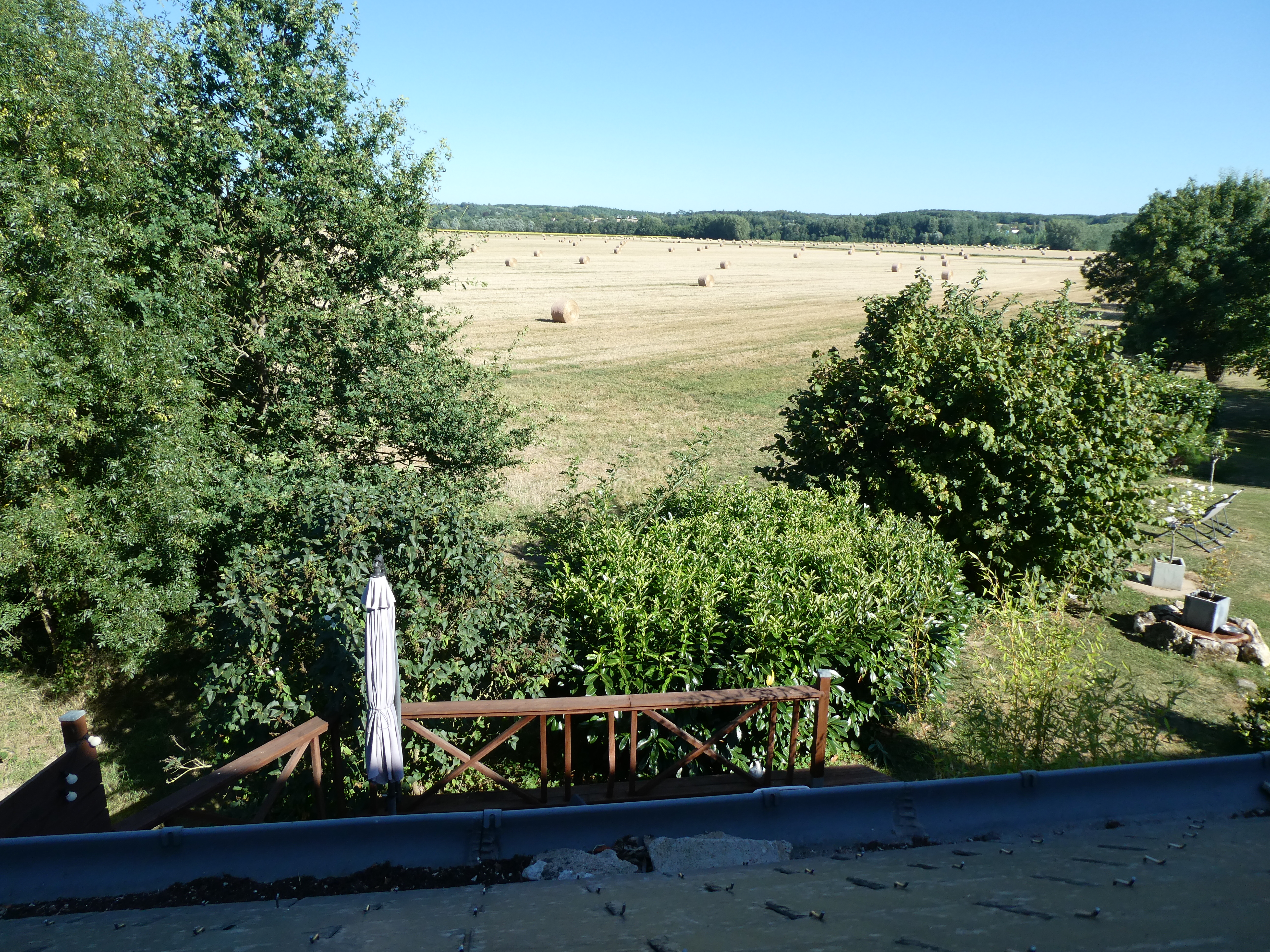 Photo n° 1 de l'avis de Patou. fait le 28/07/2020 à 07:56
