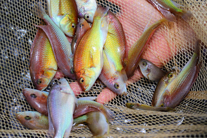 阿賜熱帶魚繁殖場