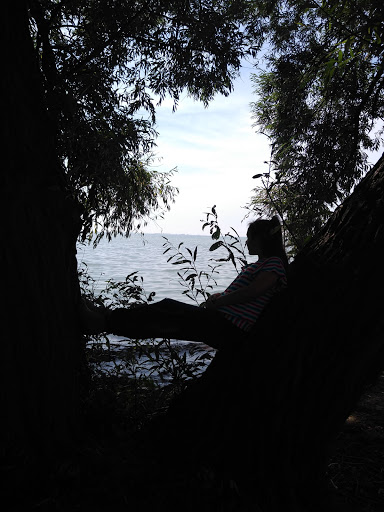 Park «Ruedisale Point Park», reviews and photos, 50400 Ruedisale St, New Baltimore, MI 48047, USA