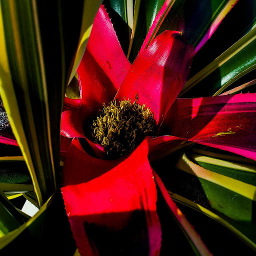 Zoo «Rainforest Pyramid», reviews and photos, 1 Hope Blvd, Galveston, TX 77554, USA