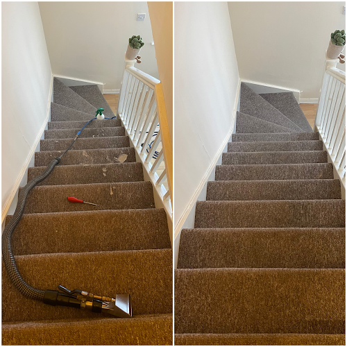 Comments and reviews of Green Man Carpet, Hard Floor, Rug & Upholstery Cleaning