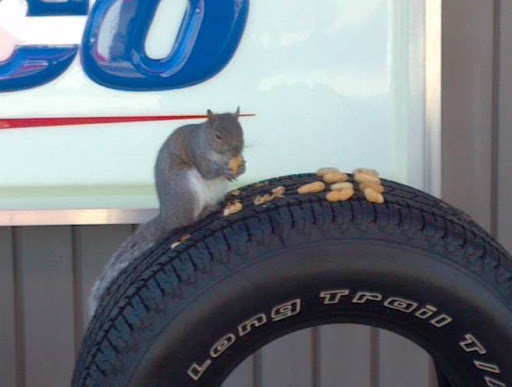 Auto Repair Shop «Great Bridge Service Center», reviews and photos, 208 Battlefield Blvd S, Chesapeake, VA 23322, USA