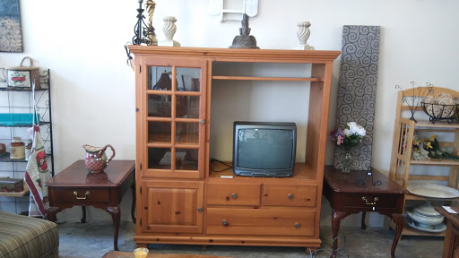 Home Goods Store «Paws & Claws Thrift Store», reviews and photos, 132 E Broad St, Groveland, FL 34736, USA