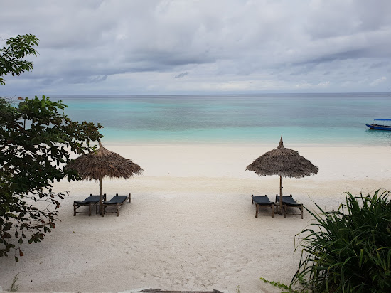 Pemba Island Beach