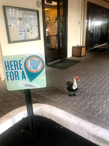 Public Golf Course «The Club At Emerald Hills», reviews and photos, 4100 N Hills Dr, Hollywood, FL 33021, USA