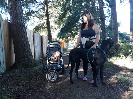 Golf Club «Meadowmeer Golf & Country Club», reviews and photos, 8530 Renny Ln NE, Bainbridge Island, WA 98110, USA