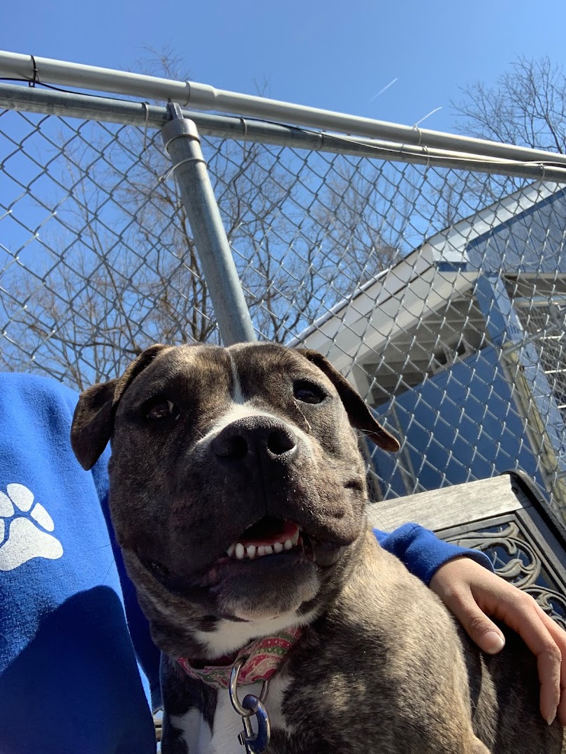 The North Jersey Community Animal Shelter