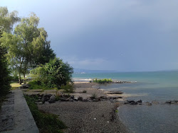 Foto di Plage de la Becassine area servizi