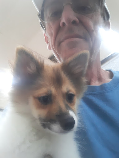 Pet Store «Petland», reviews and photos, 1600 Turner McCall Blvd, Rome, GA 30161, USA