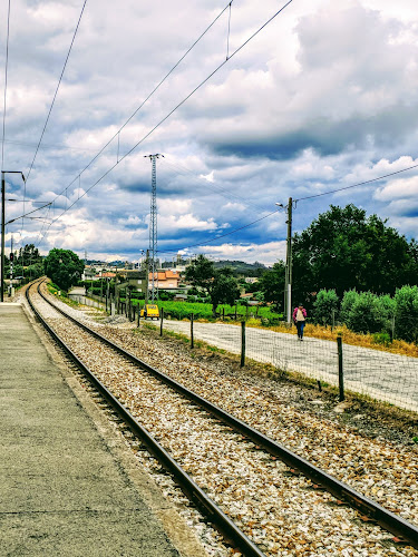 Avaliações doCooperativa Agricola de Mangualde em Mangualde - Serviço de transporte