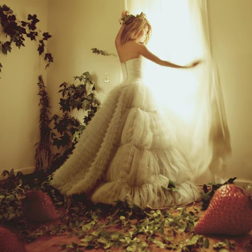 Beauty Salon «Instinct Salon», reviews and photos, 1703 Spring Garden St, Greensboro, NC 27403, USA