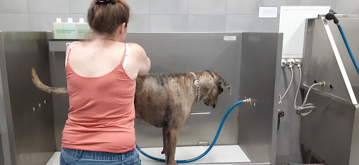 Pet Supply Store «Pet Supplies Plus», reviews and photos, 9143 Little Rd, New Port Richey, FL 34654, USA