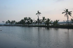 Thundathum Kadavu Fishing Fields image