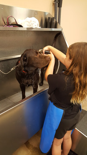 Pet Supply Store «Lemos Feed & Pet Supply», reviews and photos, 1320 Main St, Morro Bay, CA 93442, USA