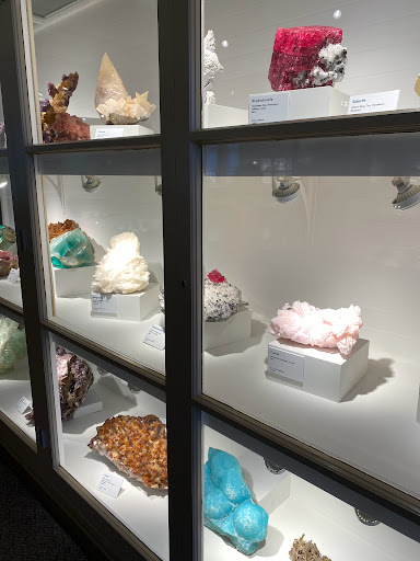 Natural History Museum «Harvard Museum of Natural History», reviews and photos, 26 Oxford St, Cambridge, MA 02138, USA