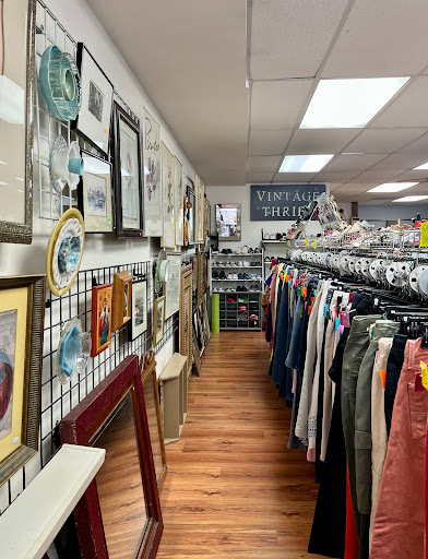 Thrift Store «Throw Back Thrift», reviews and photos, 1344 Easton Rd, Abington, PA 19001, USA