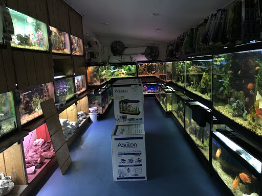 Tropical Fish Store «Royal Tropical Fish & Bird», reviews and photos, 1324 Hartrick Ave, Royal Oak, MI 48067, USA