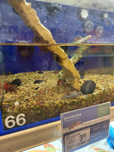 Pet Supply Store «PetSmart», reviews and photos, 9887 76th St, Pleasant Prairie, WI 53158, USA