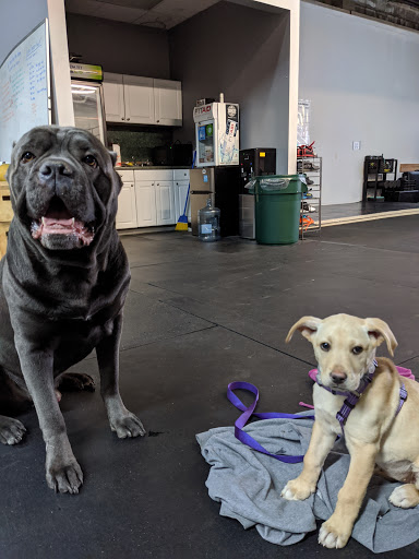 Gym «Long Branch CrossFit at Absolute Strength», reviews and photos, 515 Bath Ave, Long Branch, NJ 07740, USA