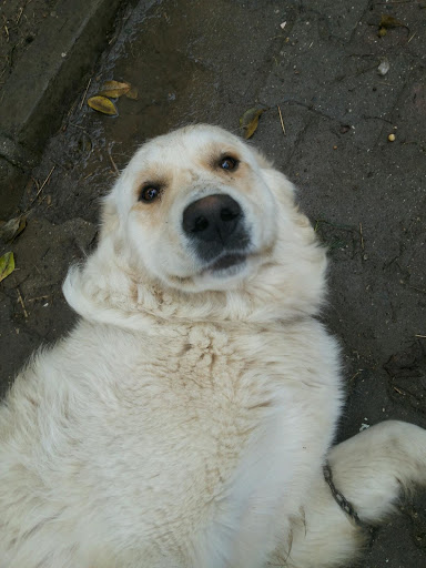 Ponkas İthalat, İhracat Ve Danışmanlık