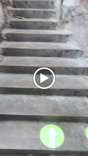 Aquarium «Audubon Aquarium of the Americas», reviews and photos, 1 Canal St, New Orleans, LA 70130, USA