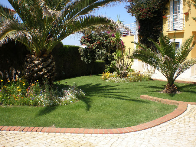 Avaliações doSepogreen Plus Services, Unip Lda. em Cascais - Jardinagem