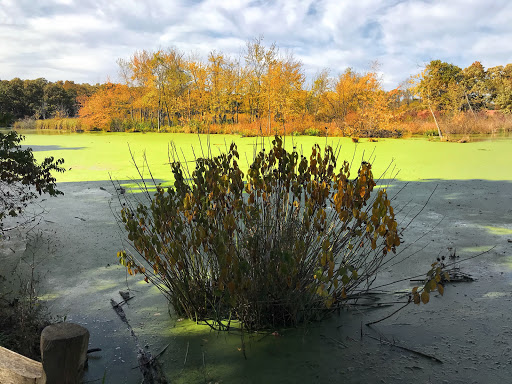 Nature Preserve «Crabtree Nature Center», reviews and photos, 3 Stover Rd, Barrington, IL 60010, USA