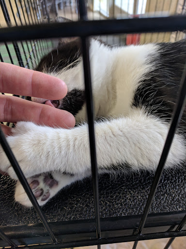 Pet Supply Store «Petsense Fort Worth», reviews and photos, 1408 Eastchase Pkwy #100, Fort Worth, TX 76120, USA