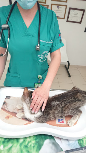 Clinica Veterinaria Country & Can