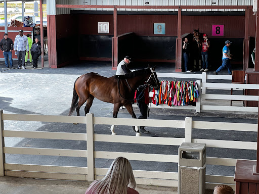 Casino «Delta Downs Racetrack Casino Hotel», reviews and photos, 2717 Delta Downs Dr, Vinton, LA 70668, USA