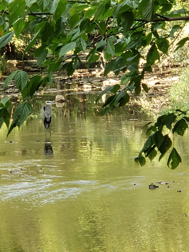 Park «Arthur K Draut Park», reviews and photos, Bowling Blvd, St Matthews, KY 40207, USA