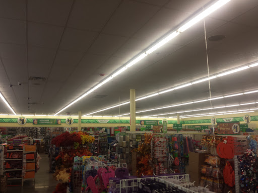 Dollar Store «Dollar Tree», reviews and photos, 16930 US-441 c, Mt Dora, FL 32757, USA