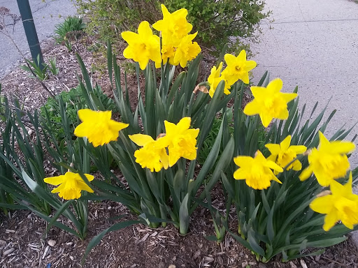 Park «Fort Totten Park», reviews and photos, Totten Ave & 15 Rd, Bayside, NY 11359, USA