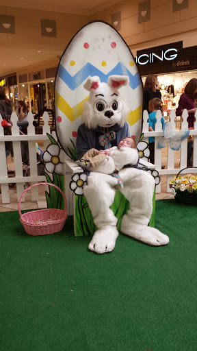 Book Store «Books-A-Million», reviews and photos, 3501 N Granville Ave, Muncie, IN 47303, USA